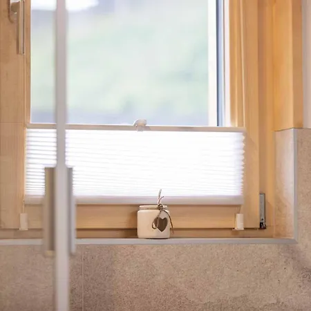 Apartamento Stubaier Bergnest *